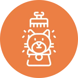 de-shedding treatment in Dubai