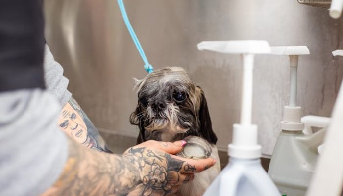 goochie-poochie-grooming