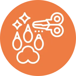 Mobile Pet Grooming Nail Care Services In Dubai