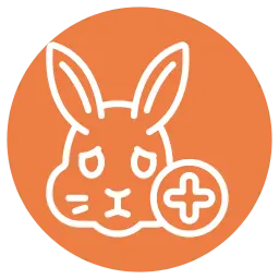 Rabbit Health Check at your Home